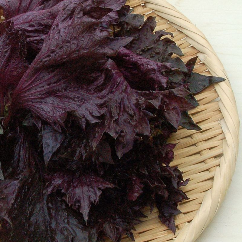 三つの情景 紫蘇・大原